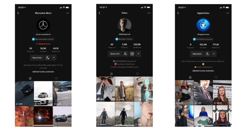 TikTok-Unternehmensprofile