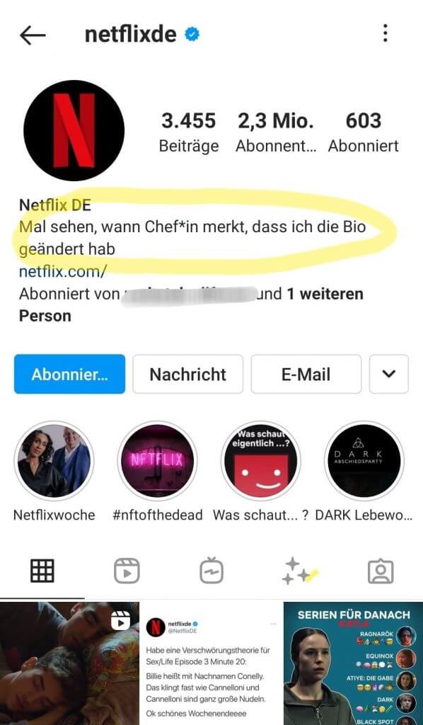 Spaßfaktor Social Media Marketing Instagram Bio Netflix Deutschland