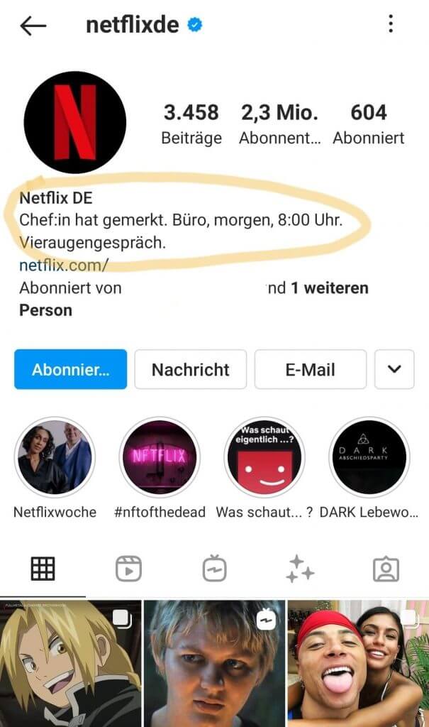 Spaßfaktor Social Media Marketing Instagram Bio Netflix Deutschland