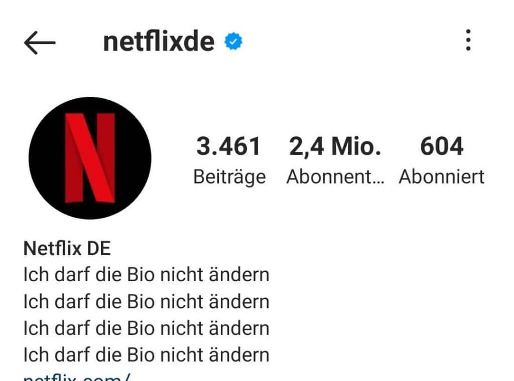 Spaßfaktor Social Media Marketing Instagram Bio Netflix Deutschland